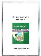 Câu hỏi ôn tập học kì I Tin học lớp 9 - Năm học 2016-2017